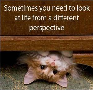 sometimes-you-need-to-look-at-life-from-a-different-perspective
